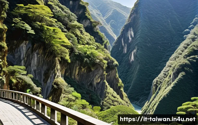 중화민국에서 한국어 배우기 관련 이미지 2