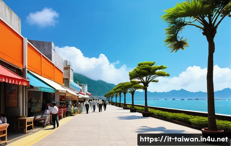 대만의 도시별 기후 차이 관련 이미지 2